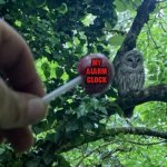 Tootsie Pop Owl Fail | MY ALARM CLOCK | image tagged in tootsie pop owl fail,memes,alarm clock,owls,candy,mondays | made w/ Imgflip meme maker