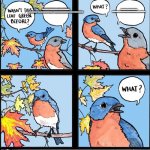 bird what | TODAY MY TEACHER HAD A MENTAL BREAKDOWN
AND SCREAMED THE ONLY REASON HE WAS A TEACHER WAS BECAUSE HE FAILD AT EVRYTHIN ELSE; TODAY MY TEACHER HAD A MENTAL BREAKDOWN
AND SCREAMED THE ONLY REASON HE WAS A TEACHER WAS BECAUSE HE FAILD AT EVRYTHIN ELSE | image tagged in bird what | made w/ Imgflip meme maker