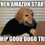 Good dogo | WHEN AMAZON STARTS; TO SHIP GOOD DOGO TREATS | image tagged in dogooo hacker | made w/ Imgflip meme maker