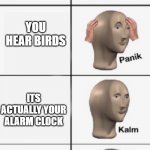 kalm PANIK kalm PANIK | FINALLY PUTTING DOWN YOUR PHONE TO SLEEP; YOU HEAR BIRDS; ITS ACTUALLY YOUR ALARM CLOCK; ITS ACTUALLY YOU ALARM CLOCK | image tagged in kalm panik kalm panik | made w/ Imgflip meme maker