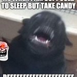 hyper as dicks pup | ME WHEN I AM SUPPOSED TO SLEEP BUT TAKE CANDY; REEEEEEEEEEEEEEEEEEEEE | image tagged in hyper as dicks pup | made w/ Imgflip meme maker