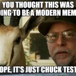 Oldie But a Goldie | YOU THOUGHT THIS WAS GOING TO BE A MODERN MEME? NOPE, IT'S JUST CHUCK TESTA | image tagged in chuck testa | made w/ Imgflip meme maker