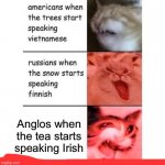 If you wonder what that red line is, the template creator got it with an ifunny.co watermark. | Anglos when the tea starts speaking Irish | image tagged in americans when,england,ireland,tea,memes,bri ish | made w/ Imgflip meme maker