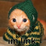 Im link cat