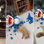 Cat destroys model 3 frames