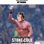Stone Cold Steve Austin | FRIEND: WHAT ARE YOU LAUGHING AT?
ME: NOTHING
MY BRAIN:; STONE COLD STEVE IRWIN | image tagged in stone cold steve austin,steve irwin,what are you looking at | made w/ Imgflip meme maker