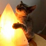 Cat hugging salt lamp 5