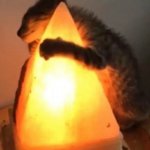 Cat hugging salt lamp 6