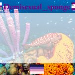 Demisexual_sponge's template (3) template