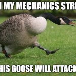 Angry Canada Goose | JOIN MY MECHANICS STREAM; OR THIS GOOSE WILL ATTACK YOU | image tagged in angry canada goose | made w/ Imgflip meme maker