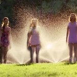 Cokie and Friends Soaked by the Sprinklers GIF Template