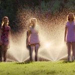 Cokie and Friends Soaked by Sprinklers meme