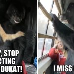 Remembering Bear | HEY, STOP ACTING LIKE DUKAT! I MISS DS9 | image tagged in bear,bus,memory,nostalgia | made w/ Imgflip meme maker