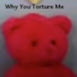 Tortured bear