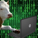 Hacker Cow