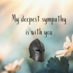 Crusader Knight my deepest sympathy is with you