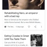 Nero Cicadas News Duo