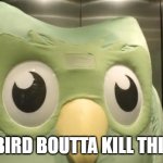 a mock meme | THIS BIRD BOUTTA KILL THIS GUY | image tagged in duolingo plush | made w/ Imgflip meme maker
