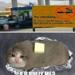 Y U BULLY me crying cat burrito | image tagged in y u bully me crying cat burrito | made w/ Imgflip meme maker