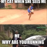 i j u s t  w a n t hu g | MY CAT WHEN SHE SEES ME; ME; WHY ARE YOU RUNNING | image tagged in why are you running | made w/ Imgflip meme maker