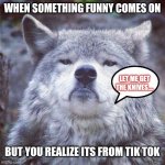 Mad at tik tok | WHEN SOMETHING FUNNY COMES ON; LET ME GET THE KNIVES.... BUT YOU REALIZE ITS FROM TIK TOK | image tagged in gorgeous wolf | made w/ Imgflip meme maker
