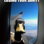 Oh no | OH, SO THIS IS LOSING YOUR SANITY | image tagged in let me in duck,sanity,duck | made w/ Imgflip meme maker