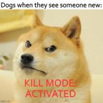 doge logic | Dogs when they see someone new:; KILL MODE:
ACTIVATED | image tagged in mad doge | made w/ Imgflip meme maker