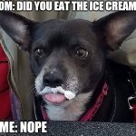 I didn't eat it | MOM: DID YOU EAT THE ICE CREAM? ME: NOPE | image tagged in ichabel | made w/ Imgflip meme maker