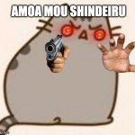 Y U NO PUSHEEN | AMOA MOU SHINDEIRU | image tagged in y u no pusheen | made w/ Imgflip meme maker