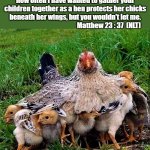 hen covering chicks | Jerusalem, Jerusalem, the city that kills the
prophets and stones God's messengers!
How often I have wanted to gather your
children together as a hen protects her chicks
beneath her wings, but you wouldn't let me.
                                                   Matthew 23 : 37  (NLT) | image tagged in hen covering chicks,spiritual meme,matthew 23-37,jerusalem,protect,wings | made w/ Imgflip meme maker