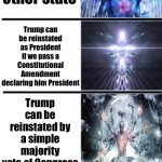 Trump supporter election 2020 copium overdose meme