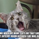Momz | ME WHEN MY MOM TEXTS ME THAT SHE WENT INTO MY ROOM BECAUSE SHE WAS BORED | image tagged in memes | made w/ Imgflip meme maker