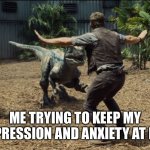 Raptor training | ME TRYING TO KEEP MY DEPRESSION AND ANXIETY AT BAY | image tagged in raptor training | made w/ Imgflip meme maker