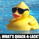 Cool Duck | SO, WHAT'S QUACK-A-LACK'N? | image tagged in cool as duck | made w/ Imgflip meme maker