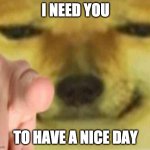 that's it | I NEED YOU TO HAVE A NICE DAY | image tagged in cheems pointing at you,wholesome,memes | made w/ Imgflip meme maker