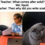Cat Interview | Teacher: What comes after solid?
Me: liquid.
Teacher: Then why did you write snake? | image tagged in cat interview | made w/ Imgflip meme maker