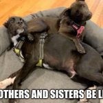brothers and sisters be like | BROTHERS AND SISTERS BE LIKE: | image tagged in brothers and sisters be like | made w/ Imgflip meme maker
