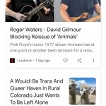 Animals Trans Llama Ranch News Duo