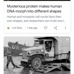 DNA Donut News Duo