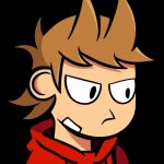 Disappointed Tord template