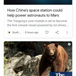 China Bear News Duo