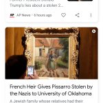 Trump Riot Nazis News Duo