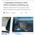 Shoplifting Elon Musk News Duo