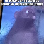 ratatouille | ME WAKING UP 30 SECONDS BEFORE MY ZOOM MEETING STARTS | image tagged in ratatouille,funny memes,zoom,covid | made w/ Imgflip meme maker