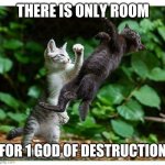 Knockout Cat | THERE IS ONLY ROOM; FOR 1 GOD OF DESTRUCTION | image tagged in knockout cat | made w/ Imgflip meme maker