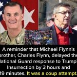 Michael Flynn coup attempt