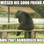 Childhood gone | POOH MISSED HIS GOOD FRIEND PIGLET; BUT DAMN, THAT HAMBURGER WAS GOOD | image tagged in sad bear | made w/ Imgflip meme maker