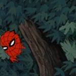 spiderman in bushes meme