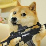 doge gun
