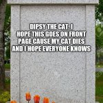 Me cat die :c | RIP DIPSY THE CAT, I HOPE THIS GOES ON FRONT PAGE CAUSE MY CAT DIES AND I HOPE EVERYONE KNOWS | image tagged in blank gravestone,sad | made w/ Imgflip meme maker